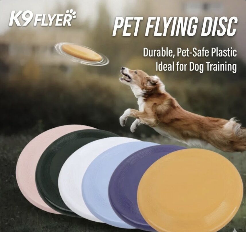 Floating Frisbee