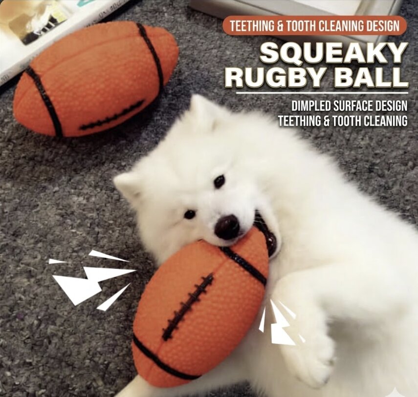 Dog Rugby Ball