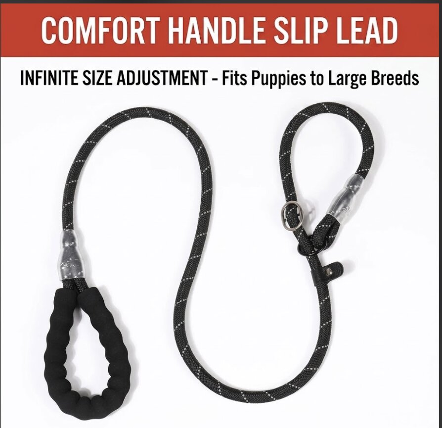 Training Leash